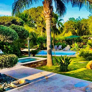 https://le-cocoon-lodge-du-gapeau.fr-provencehotel.com